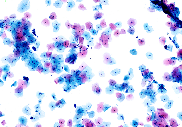 Showcased at the 28th Academic Conference of the Pathology Society of the Chinese Medical Association and the 12th Annual Conference of the Chinese Pathology Society April 6-9, 2023