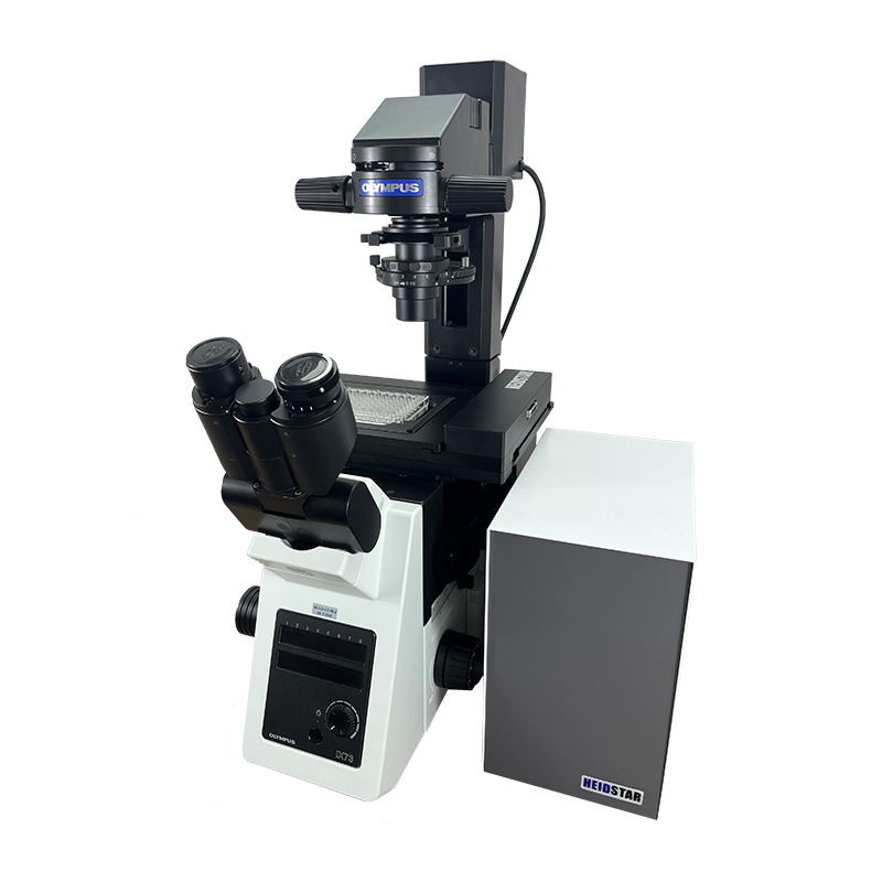 Inverted fluorescence microscope imaging system