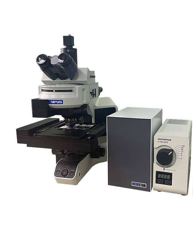 Upright fluorescence microscope imaging system